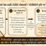 Ligji i Ripërtërirë