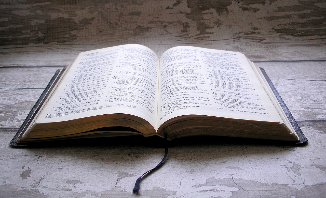 Pse duhet ta studiosh me thellësi Biblën tënde