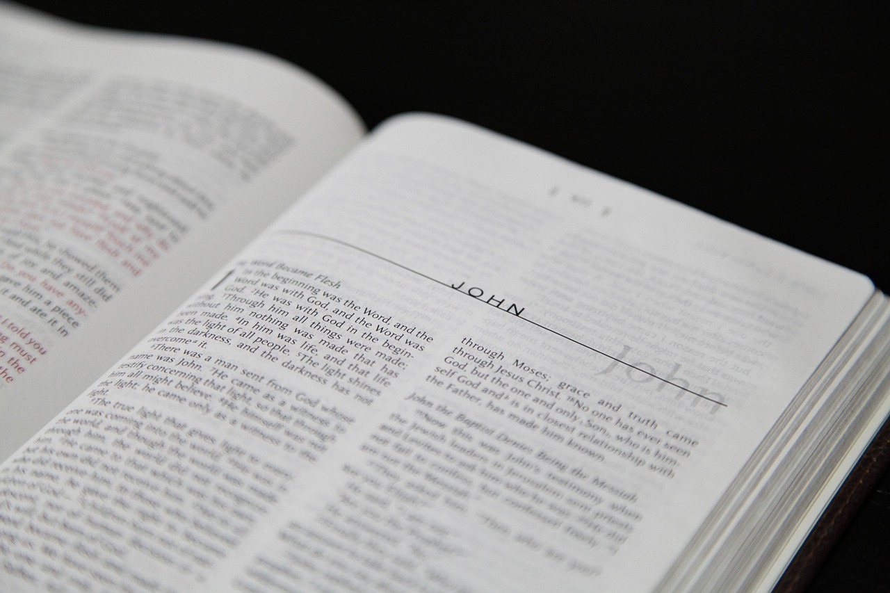 Interpretimi i duhur i Gjonit 3:16